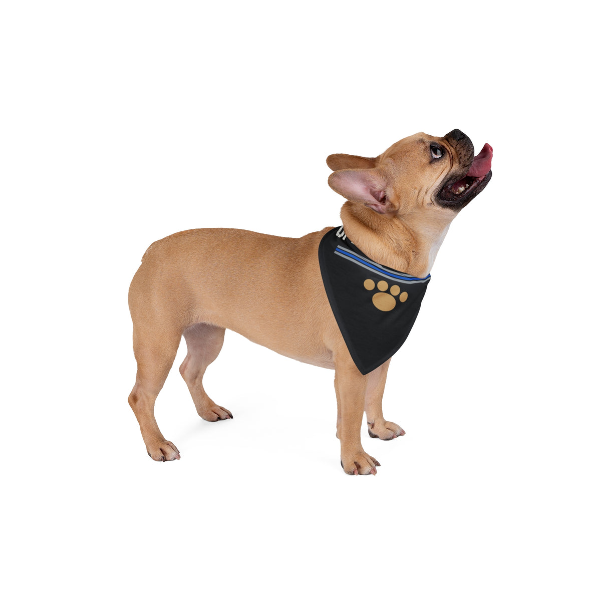 OFF DUTY K9 — Dog Bandana